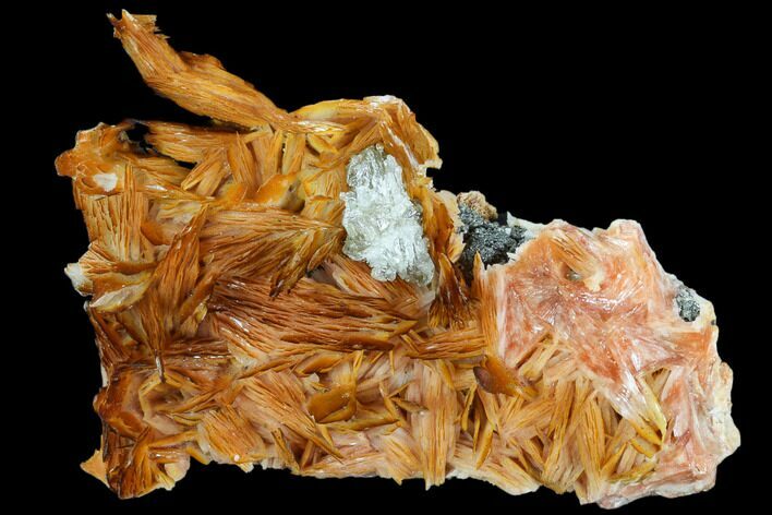 Pink and Orange Bladed Barite - Mibladen, Morocco #103714